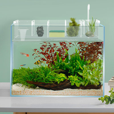 Tucker Murphy Pet™ Divergent Rectangle Aquarium Tank & Reviews